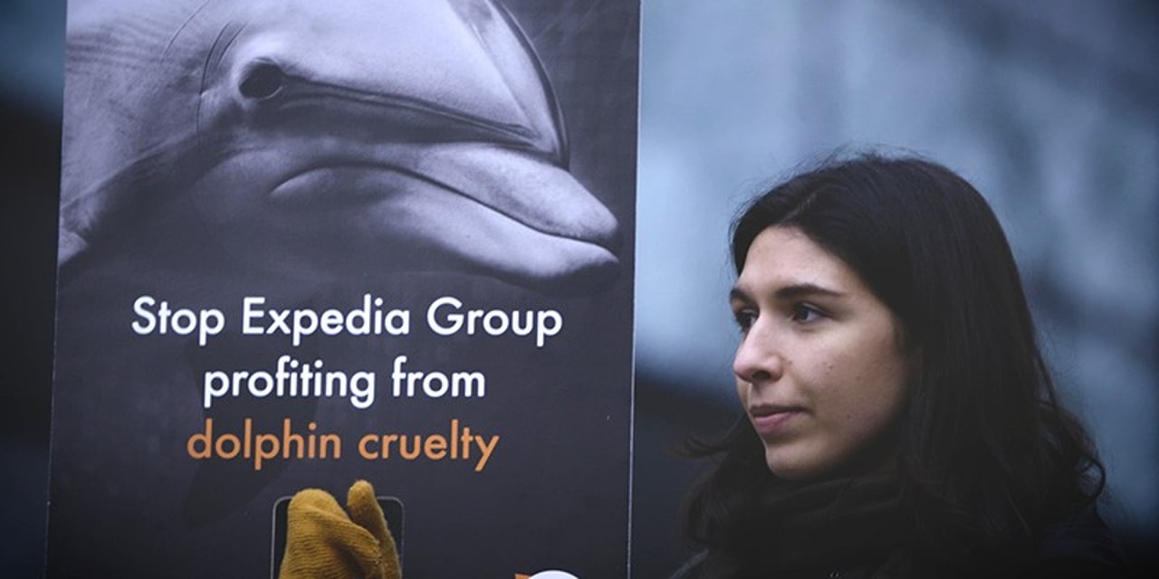 A female protester holds up a sign saying &quot;Expedia Group is profiting from dolphin cruelty&quot;