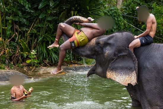 People are bathing, washing and interacting with an elephant. One of the people is sitting on the elephant's trunk.