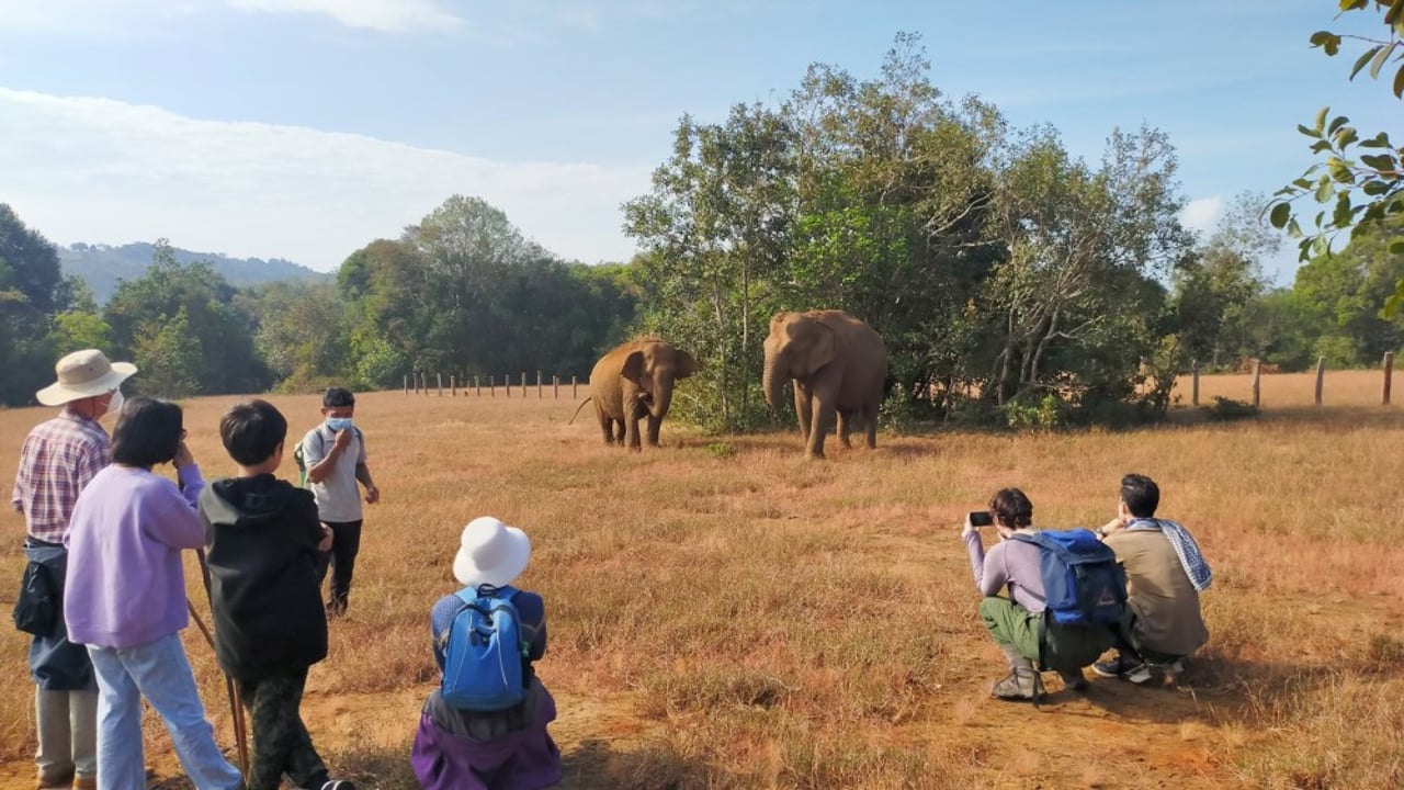 Visitors at elephant valley project
