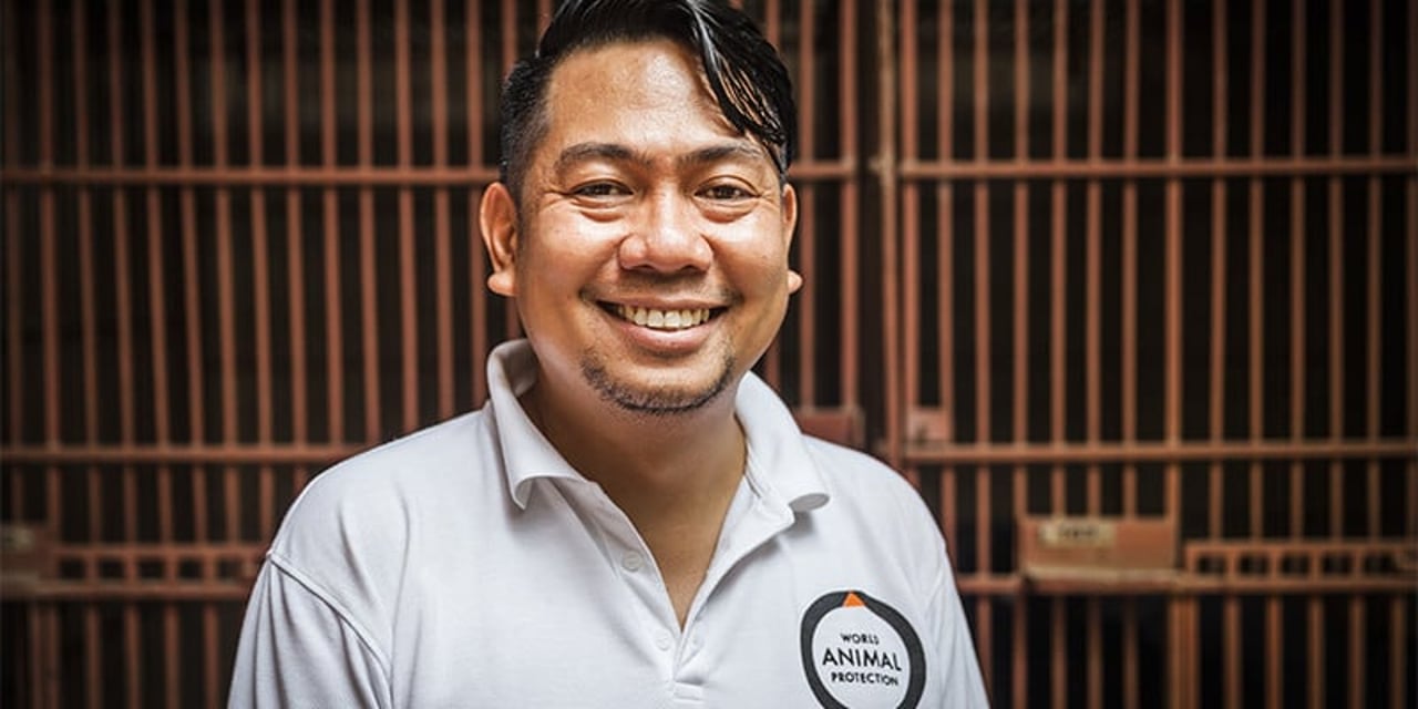 Gilbert Sape standing in front of a cage, while microchipping bears to protect them from the bear bile industry