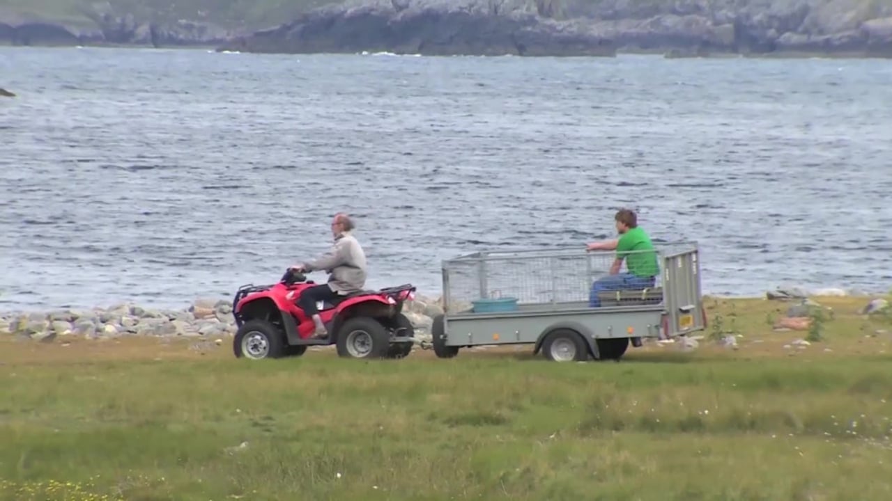 Quad bike and trailer Hillswick Wildlife Sanctuary