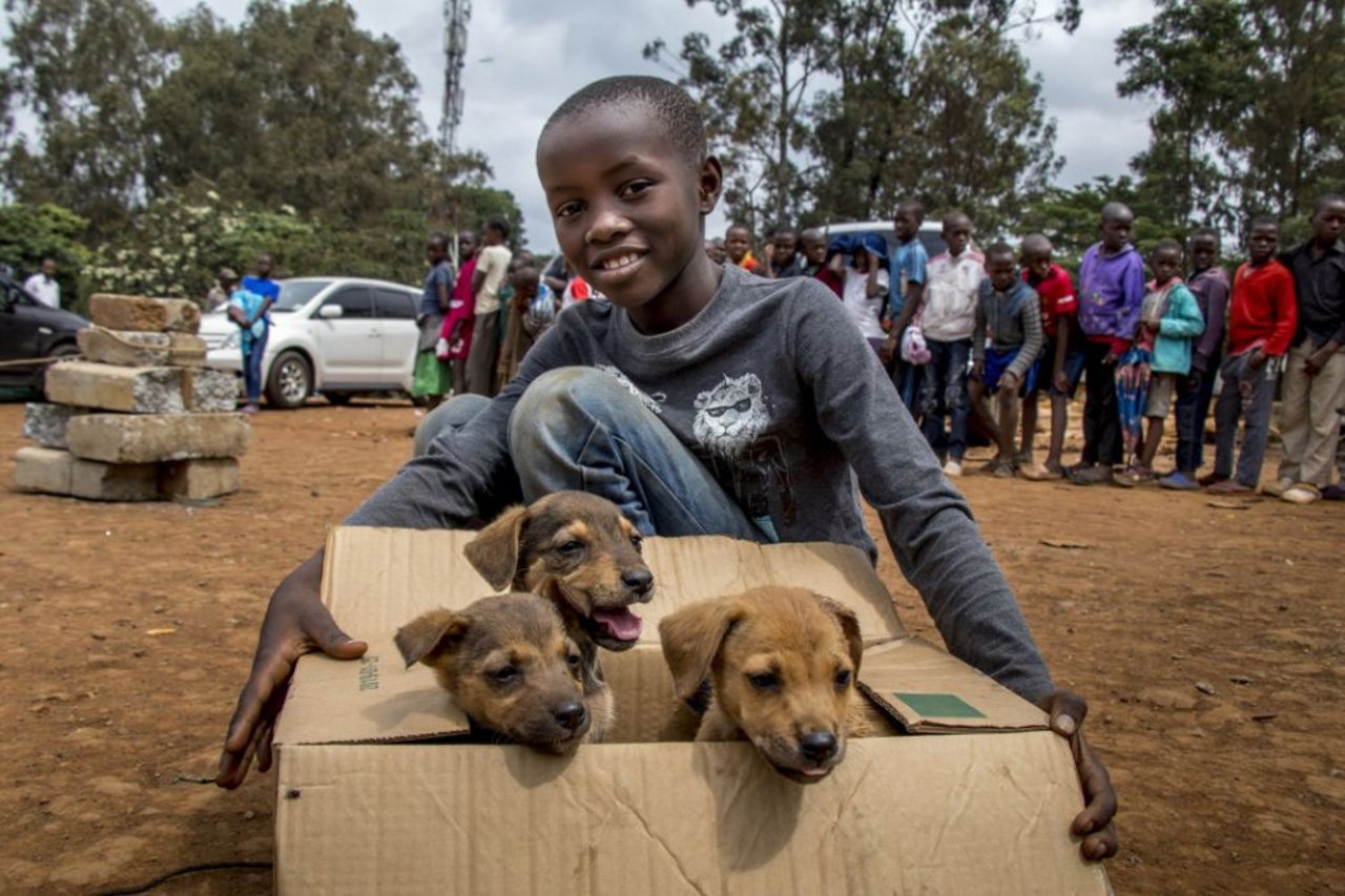 A young boy brings his tiny friends to get vaccinated.