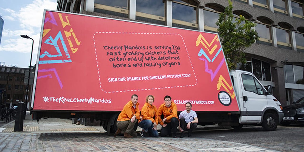 World Animal Protection staff crouching in front of a large van, displaying a campaign calling out Nando