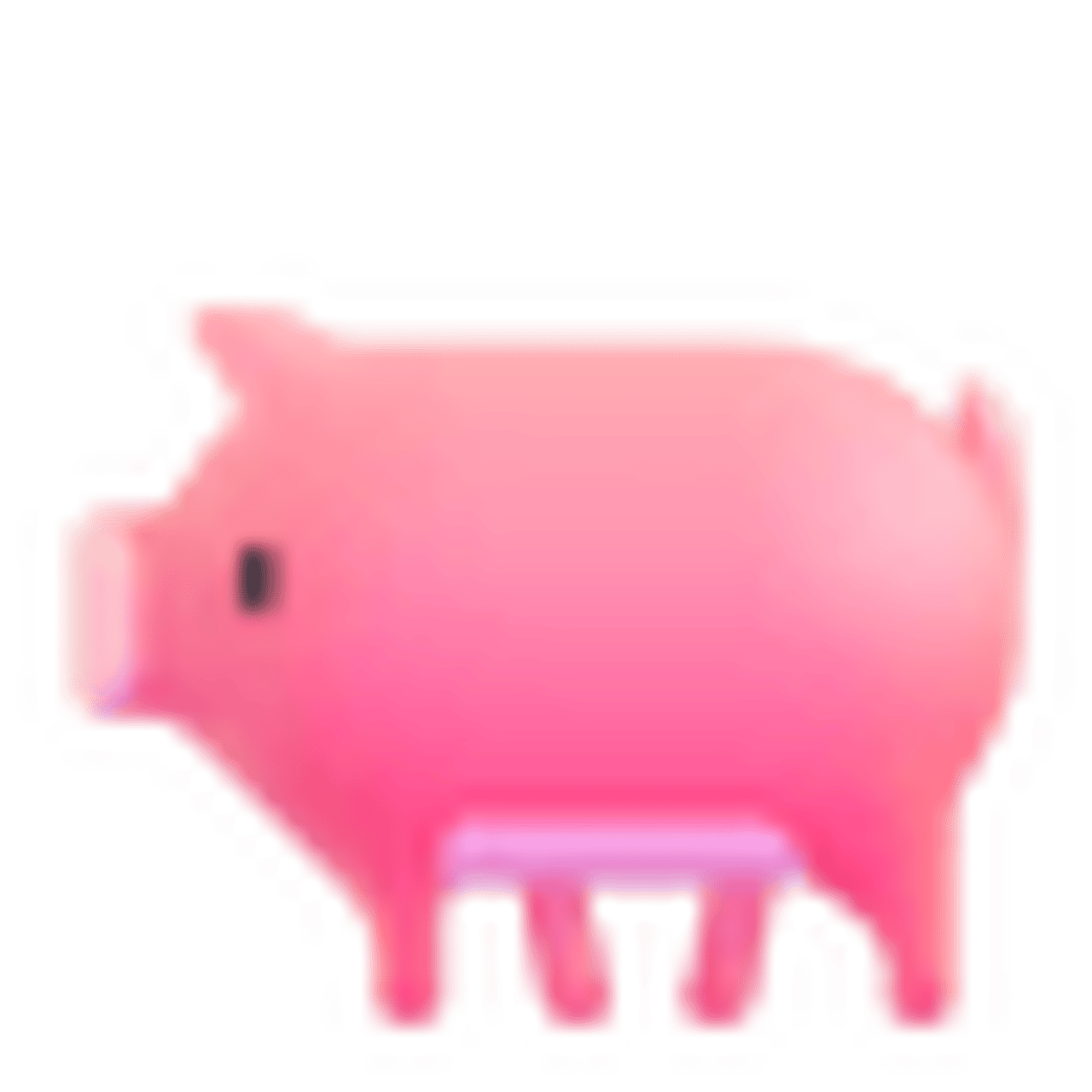 Pig
