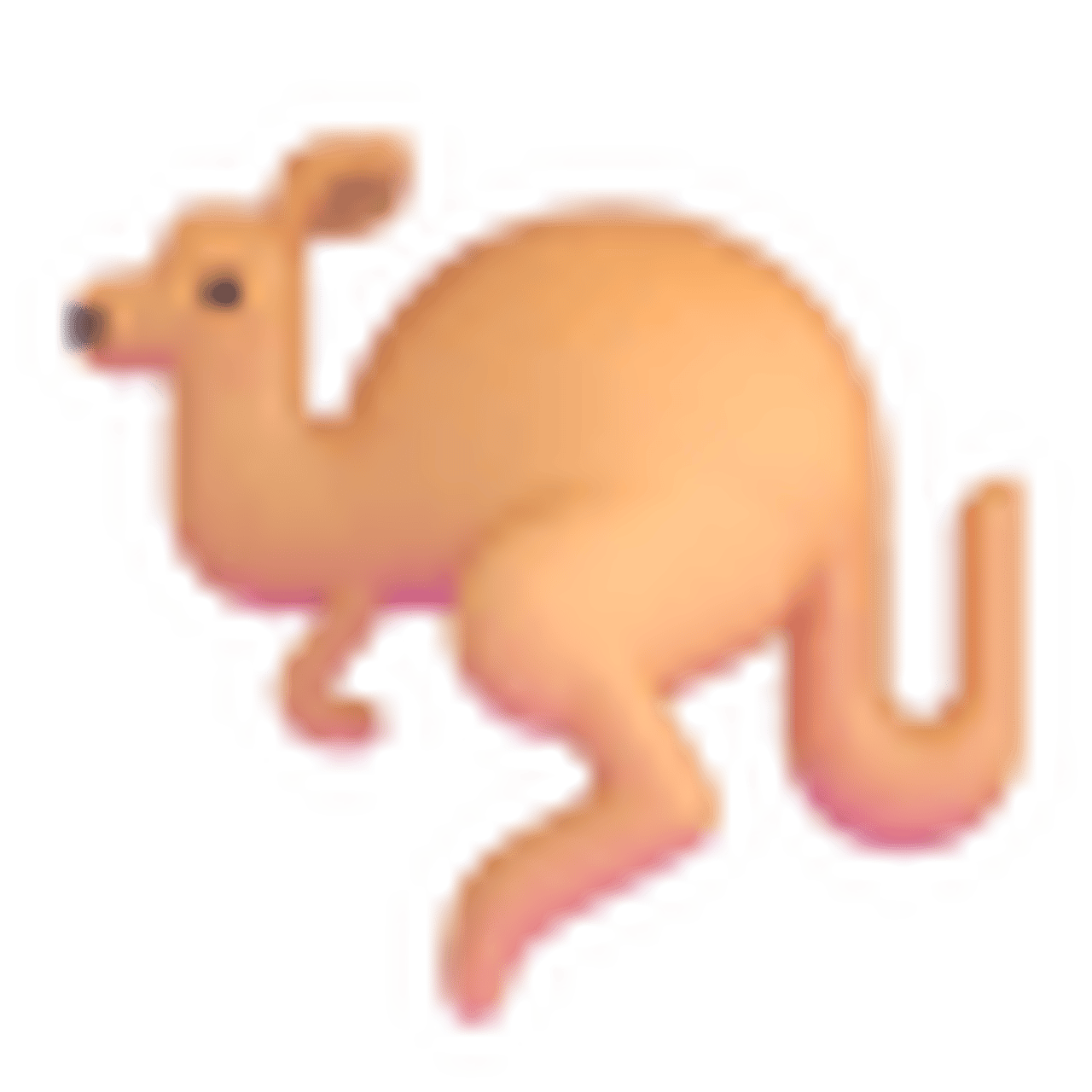 prawn
