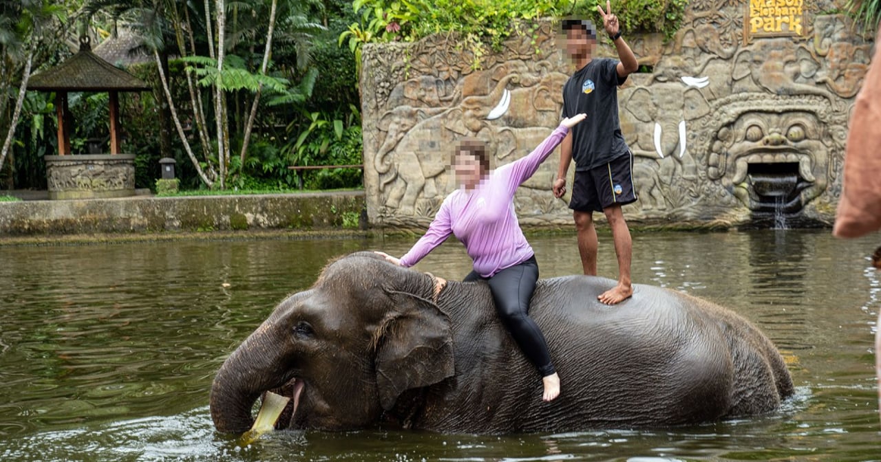 A tour guide and visitor sit and stand on an Asian elephants back submerged in water at a tourist venue in Bali.