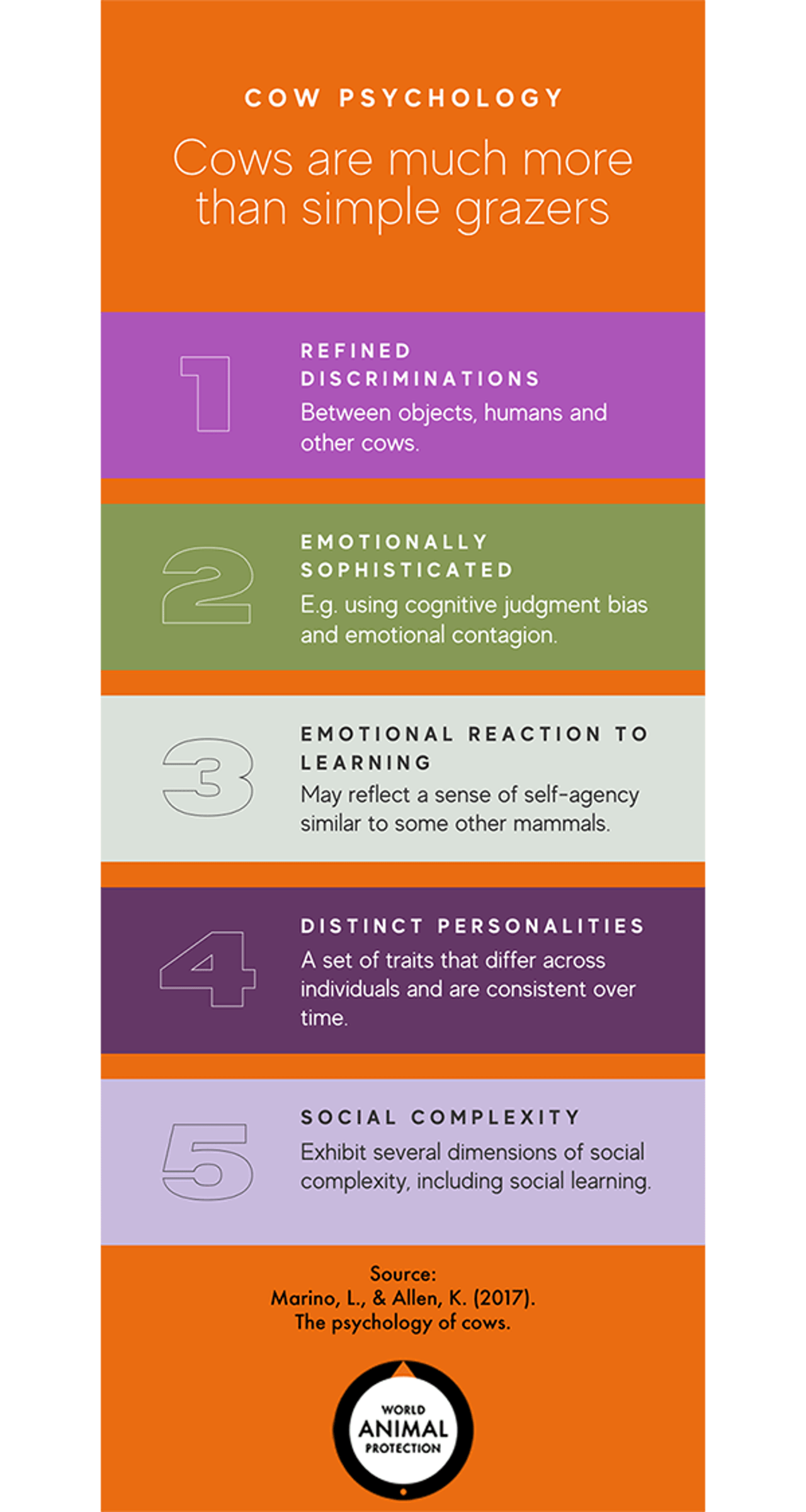 cow psychology infographic blog