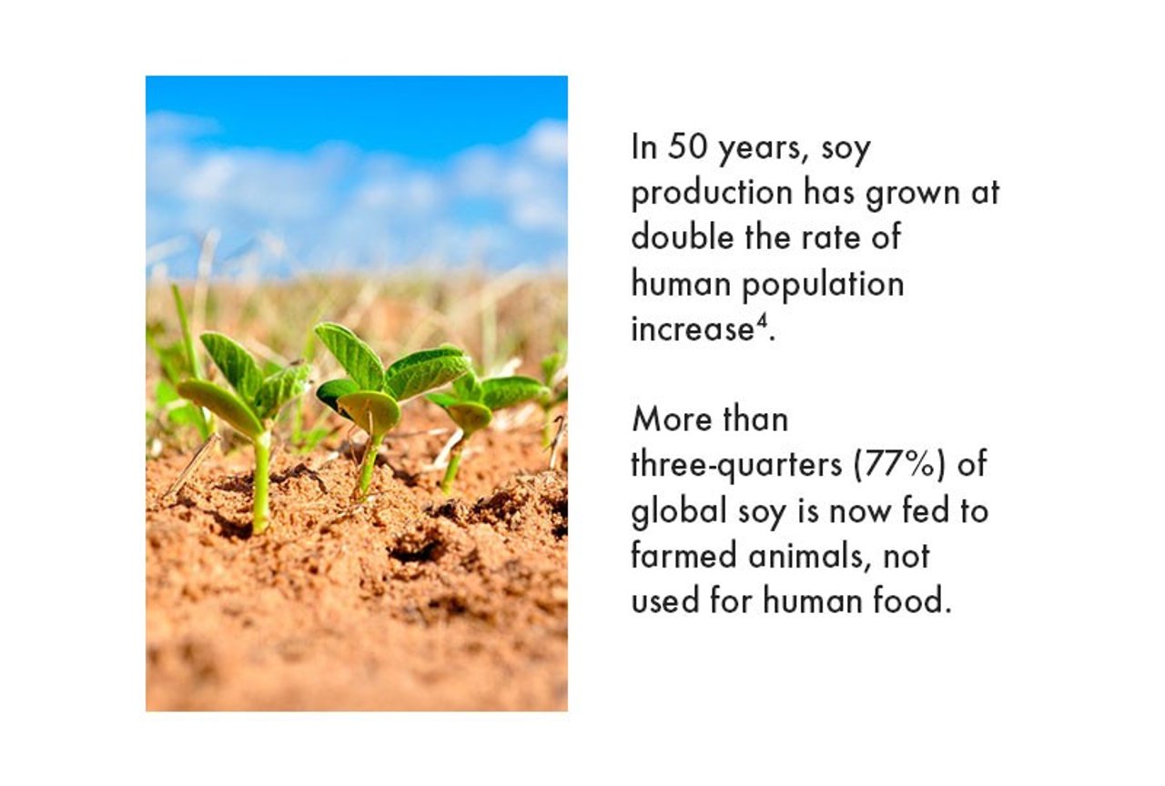 factory farming climate change