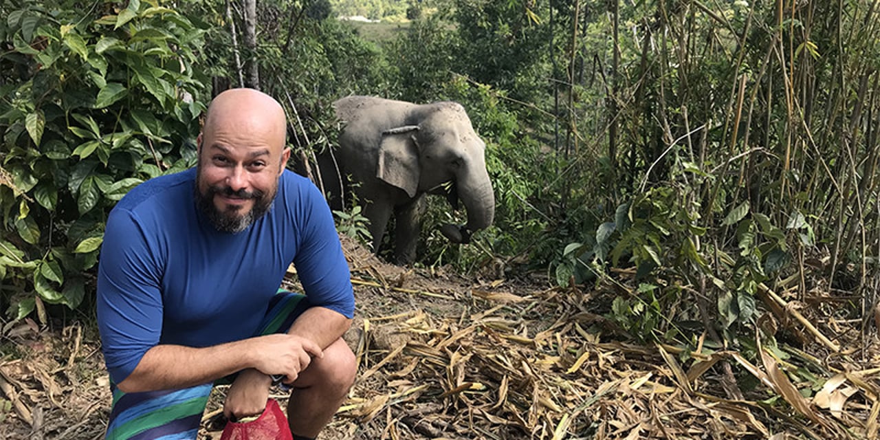 A good wildlife selfie: a man poses for a photo and an elephant is visible in the background, undisturbed, several meters behind.