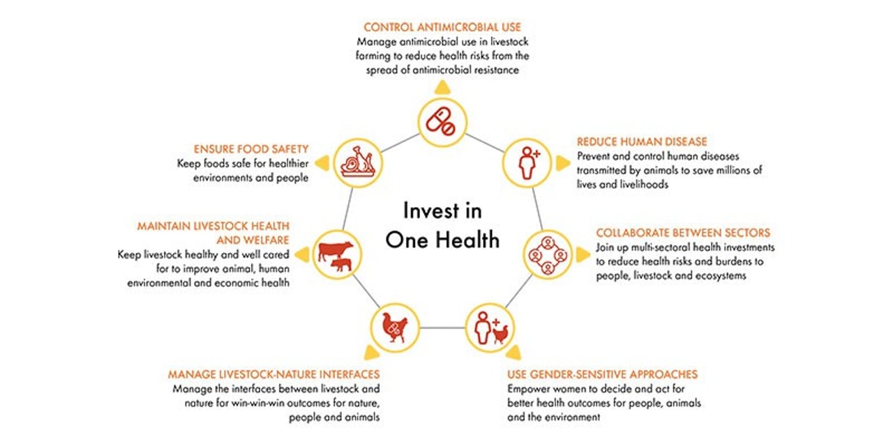 one-health