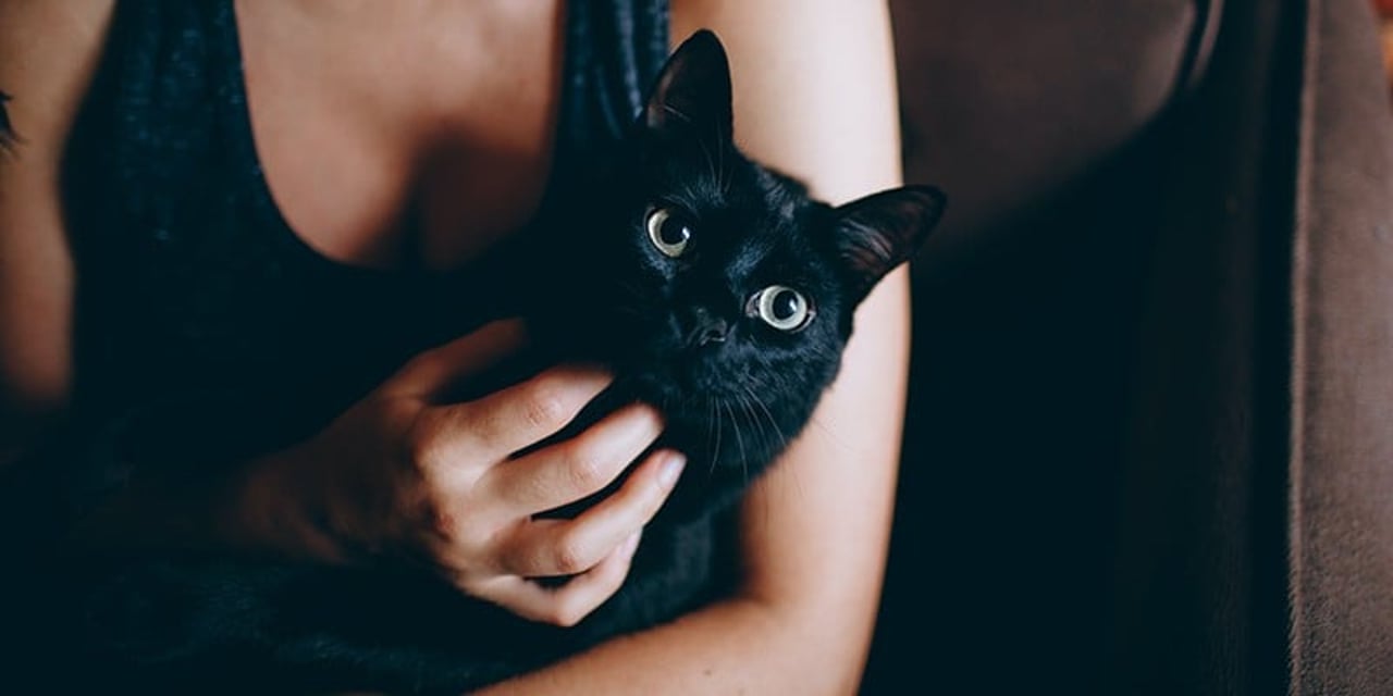 A black cat sitting on the back of a brown chair, against a naked brick wall