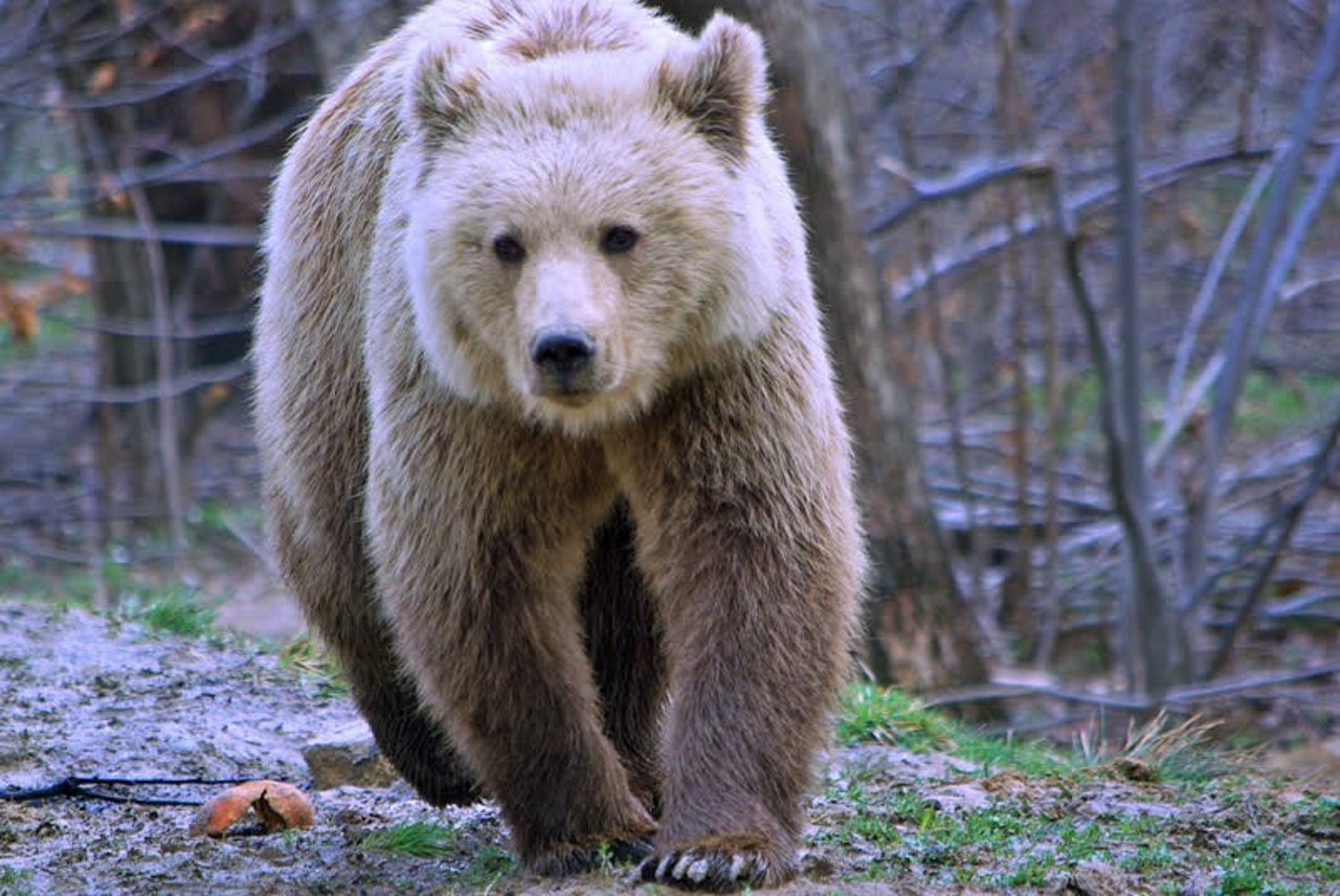 samy_at_the_libearty_sanctuary_credit_line_asociatia_milioane_de_prieteni_low_res_1016229