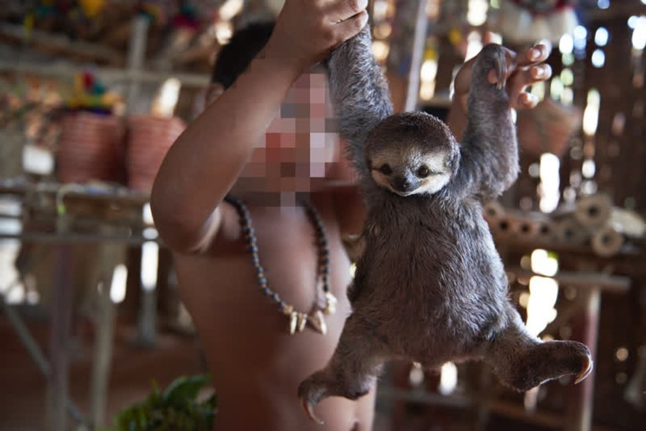 sloth_selfie_1019554