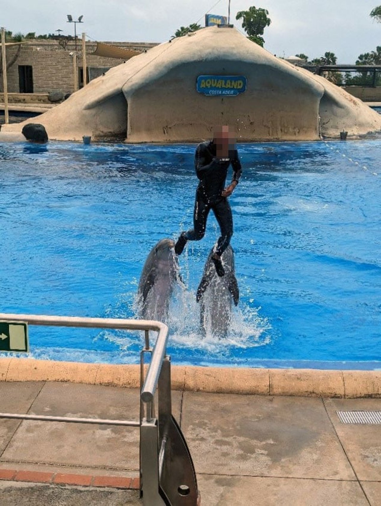 Two captive bottlenose dolphins push their trainer out of the water during a performance at Aqualand venue in Tenerife, Spain.