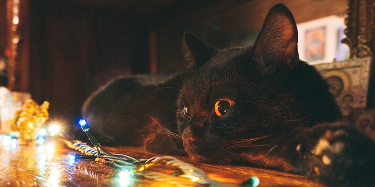 A black cat sitting on the back of a brown chair, against a naked brick wall