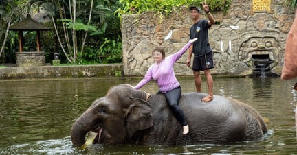 A tour guide and visitor sit and stand on an Asian elephants back submerged in water at a tourist venue in Bali.