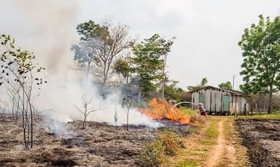 Brazil Amazon fires