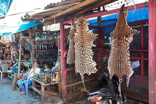 Two jaguar skins are hung outside a market stall at the Belén Market in Iquitos, Peru.