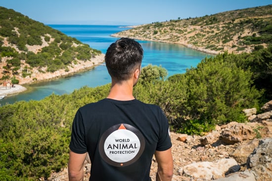 A World Animal Protection team member photographed from behind, wearing a black t-shirt with WAP's logo, overlooking a breath-taking landscape