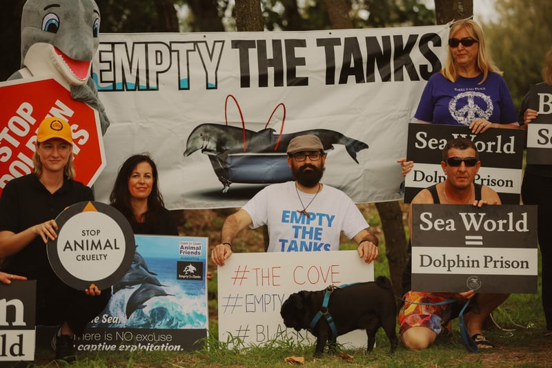 Animal protection groups protesting at SeaWorld Australia