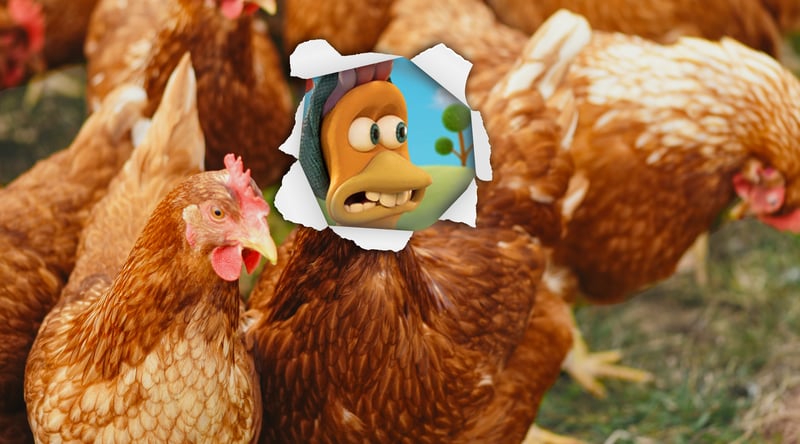 A chicken with the head of a Chicken Run character