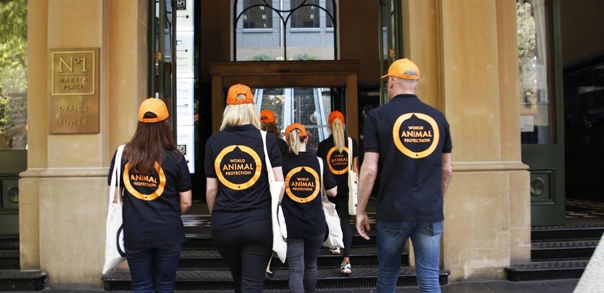 About Us | World Animal Protection UK | Our Mission and Work
