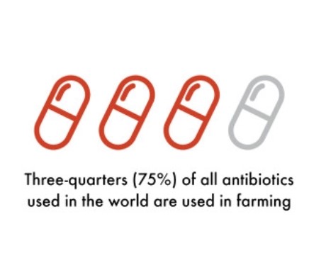 An infographic explaining the severity of superbugs in our food and waterways.