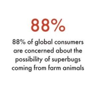 Infographic reading 88% of global consumers are concerned about the possibility of superbugs coming from farm animals.