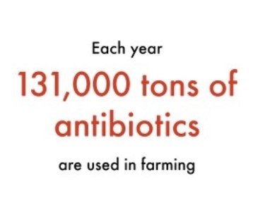 An infographic explaining the severity of superbugs in our food and waterways.