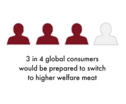Infographic explaining 3 of 4 consumers would be prepared to switch to higher welfare meat.