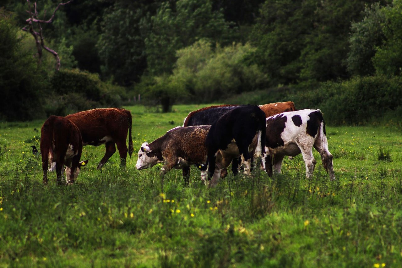 myth of UK farming