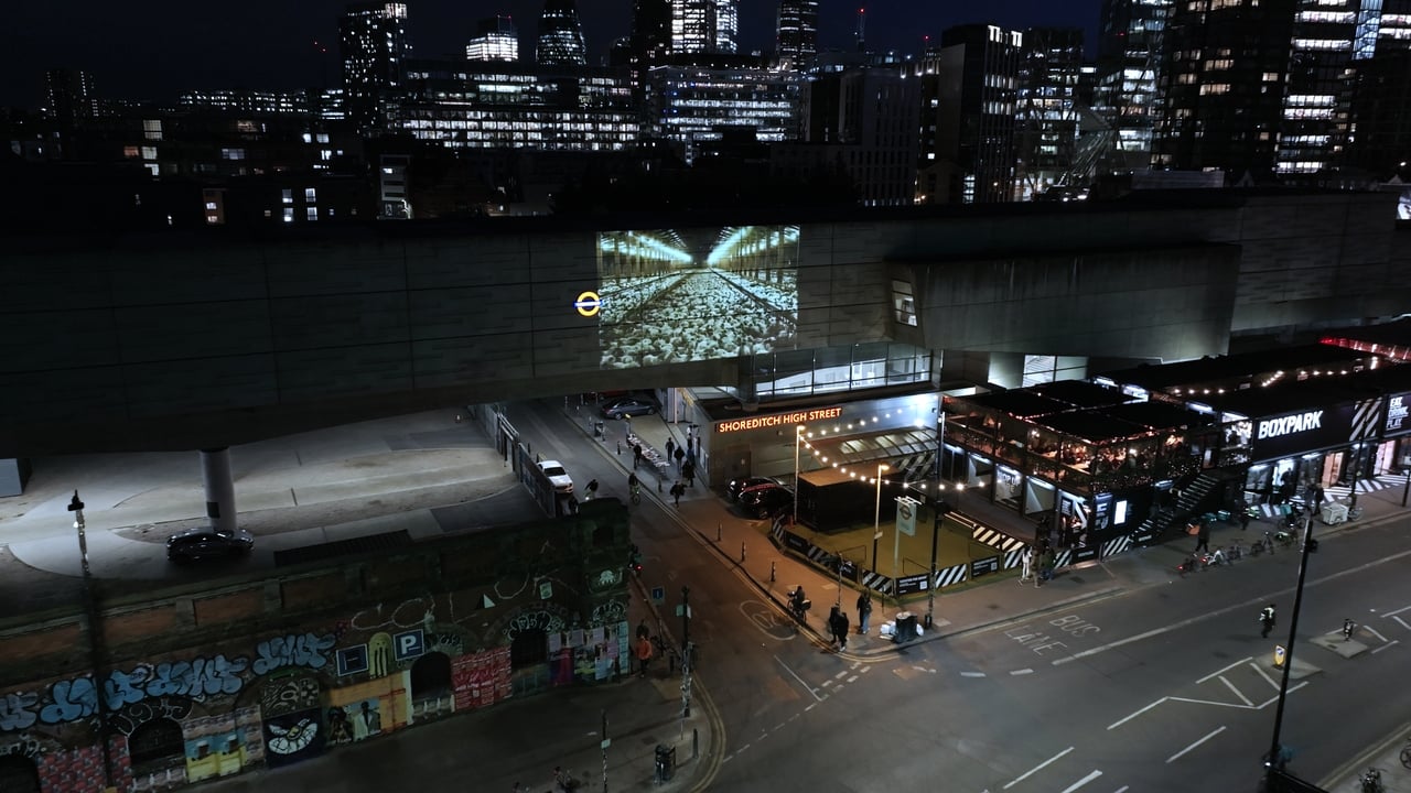 A barn full of chickens living in horrific conditions is projected onto Shoreditch High Street station