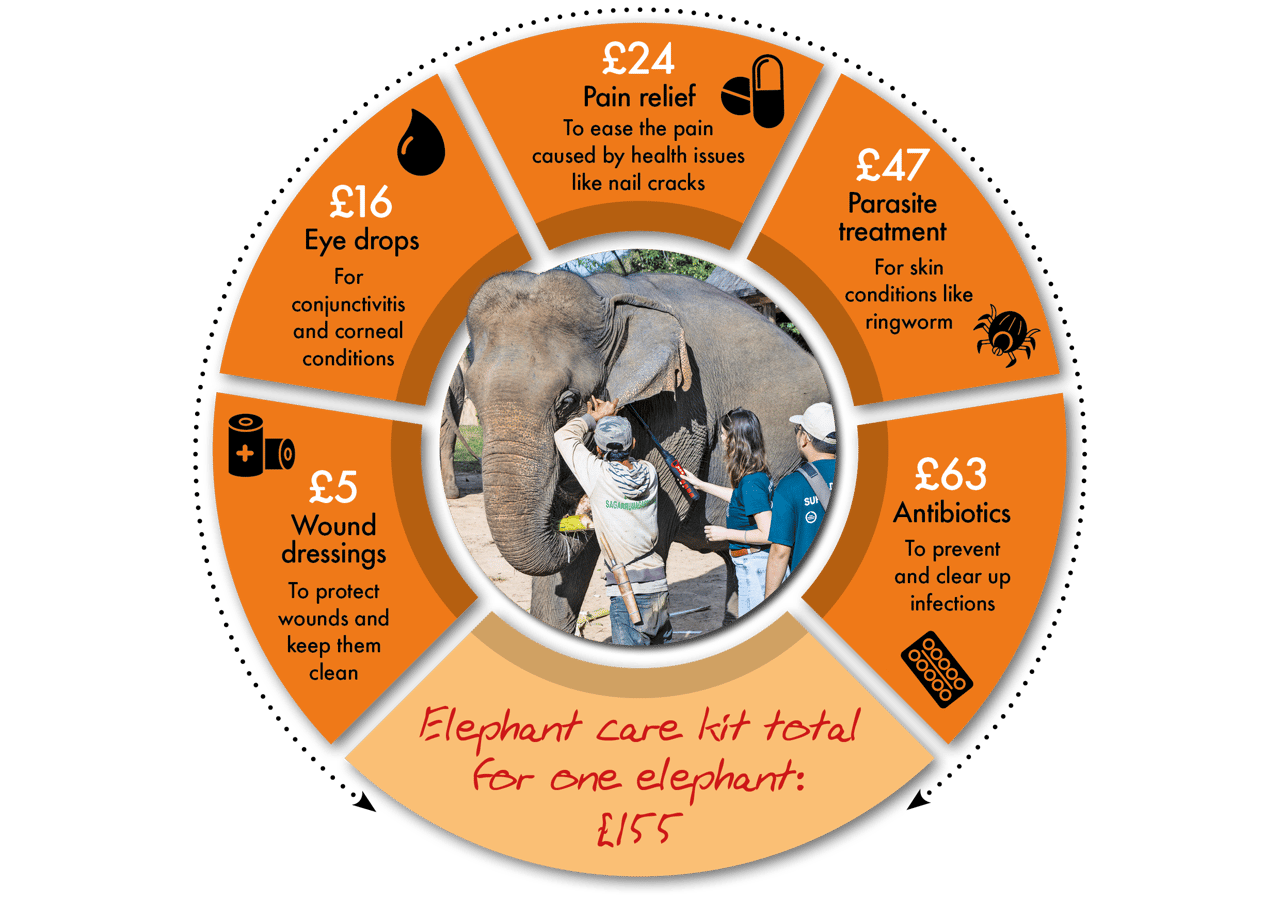 A diagram explaining how the various donation amounts will help with funding the elephant ambulance