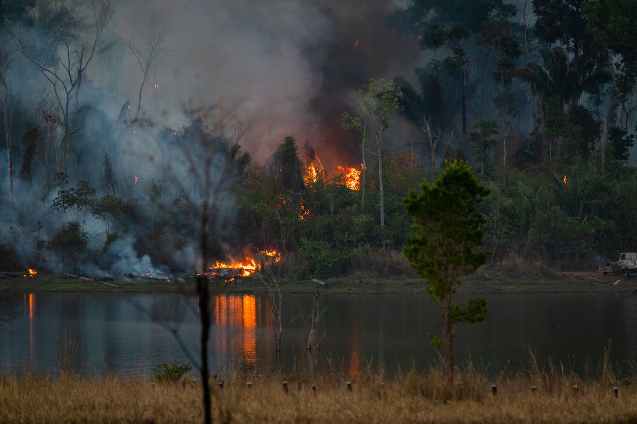 A forest fire blazes near a lake, with smoke rising and flames visible among the trees.