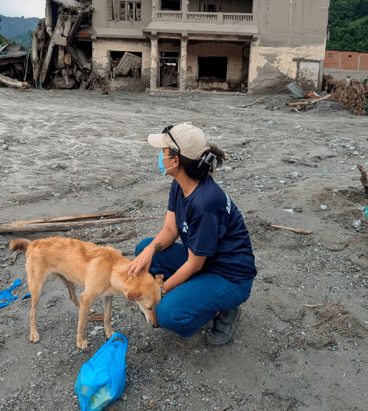 Masked woman kneels to comfort a stray dog amid rubble and debris, with a damaged building behind her after a disaster.