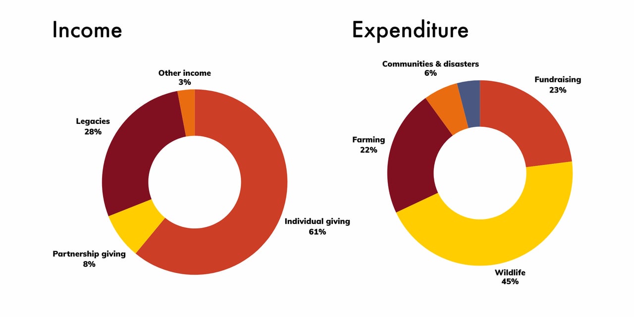 Pie charts showing World Animal Protection's income and expenditure in 2024.