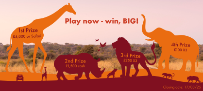 New Year Raffle graphic with the price points and text reading 'play now - win, BIG'