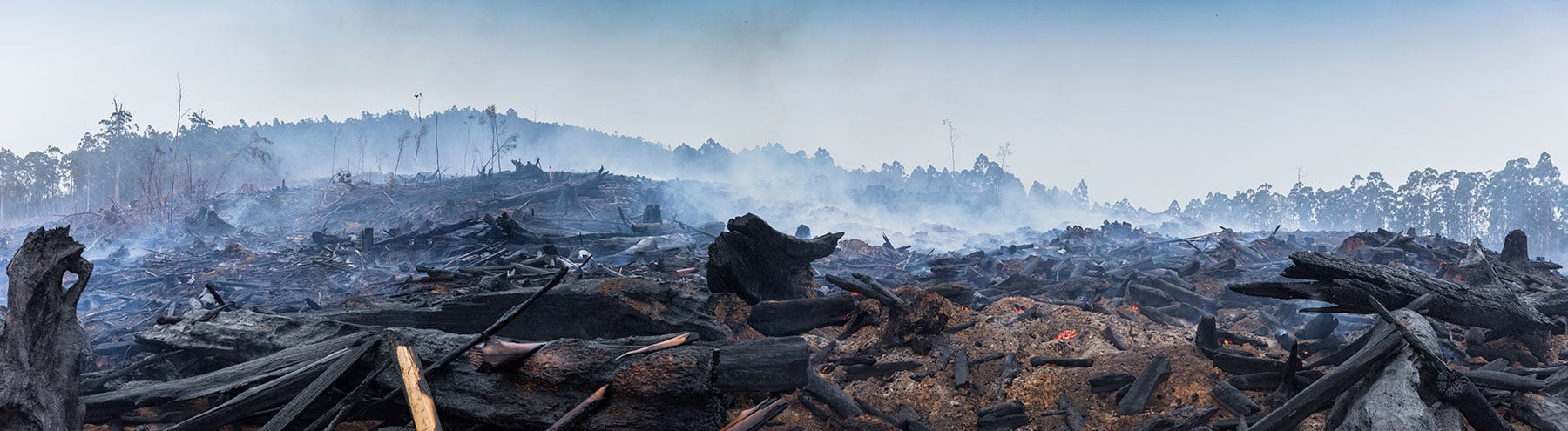 Australian bushfires