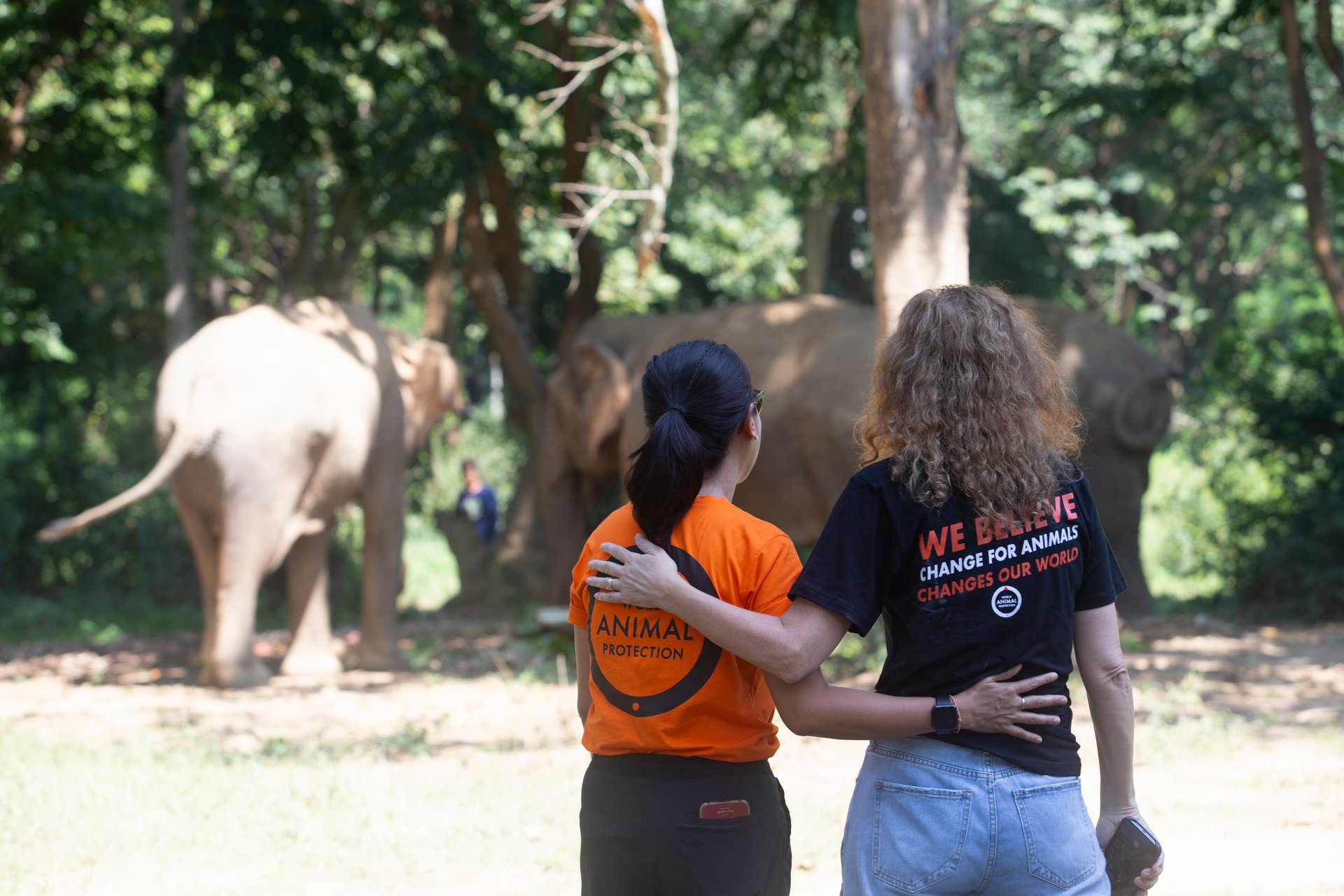 Two women are standing with their backs towards the camera looking at elephants roaming in the distance. They are wearing black and orange World Animal Protection t-shirts.