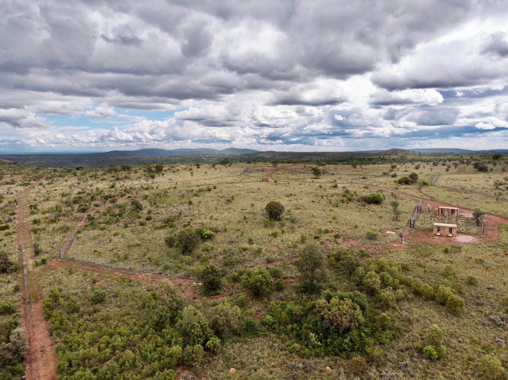 An example of a large enclosure at The Lions Foundation in South Africa, which shows the scale of space Mannie will eventually have to roam