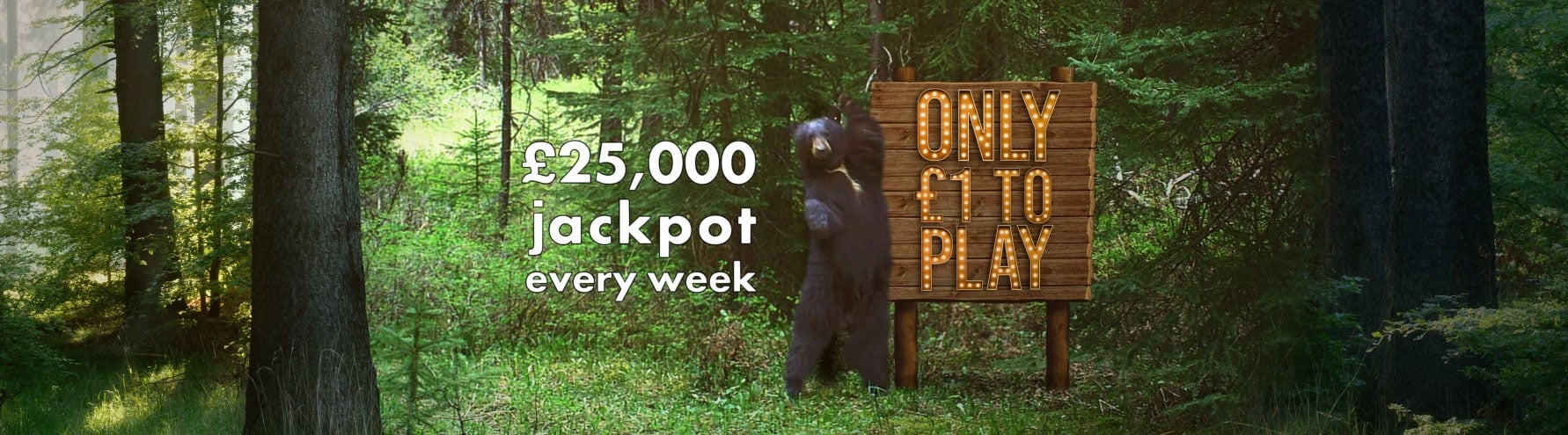 World Animal Protection UK's lottery banner image featuring a bear and text reading "£25,000 jackpot every week - only £1 to play"