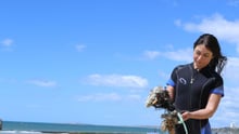In memory of Jo Toole, an extraordinary protector of wildlife