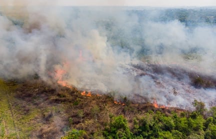 Brazil's Amazon Rainforest in flames