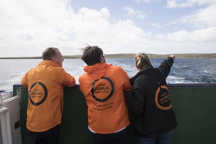  In 2018 we achieved staggering success for millions of animals – thanks to you 