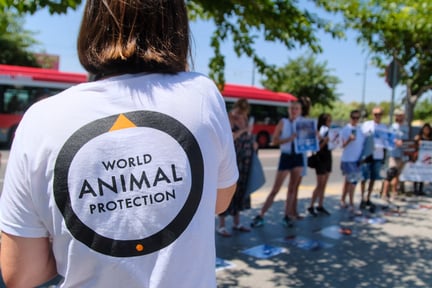 World Animal Protection staff with branded World Animal Protection tshirt