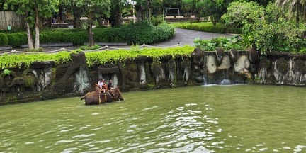 An elephant can be seen in the distance carrying people on its back through water. The elephant is wearing blankets and a seating structure designed for riding.