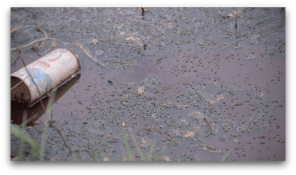 An old, rusted soda can floating in polluted waters. The water looks dirty and brown with no life in it.
