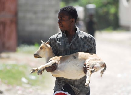 Man carrying a goat