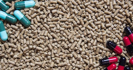 Pellets of animal feed are in a mixed pile of antibiotics to represent the overuse of antibiotics in the farming industry.