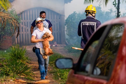 Dog being evacuated from a home in the Amazon rainforest close to a fire - World Animal Protection - Animals in disasters
